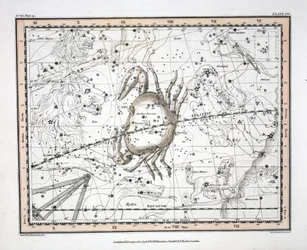 Les Constellations (Planche XVI) Cancer, de 